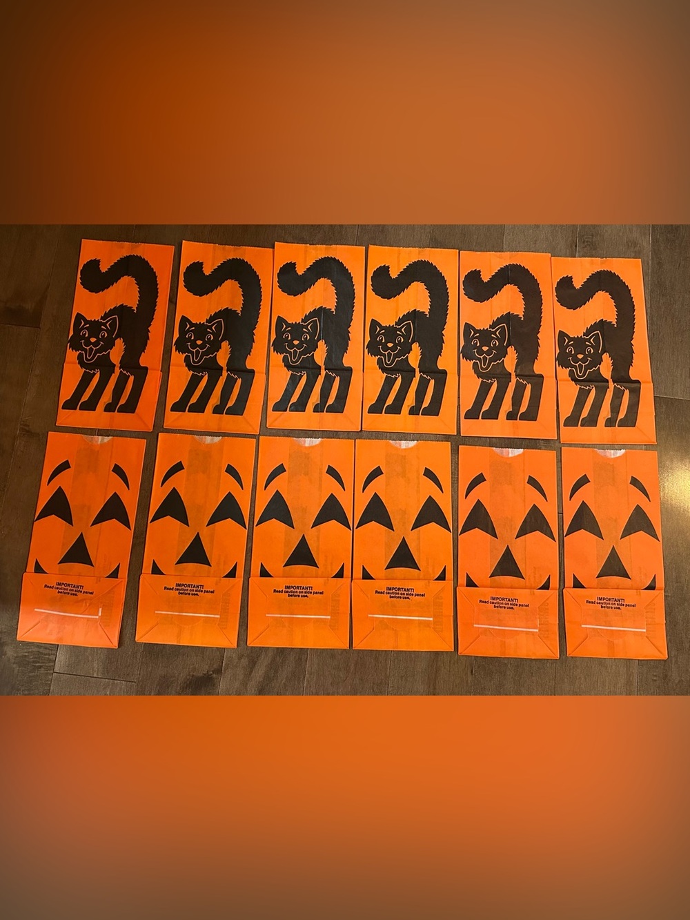 Vintage Sun Hill Halloween Luminarias Cat & Jack-O-Lantern 12 Count 2-sided Bags